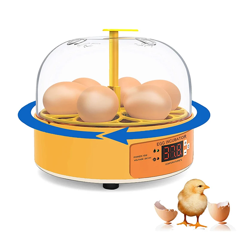 Lab Incubator - Broedmachine Kip Eend Gans 6 Eieren
